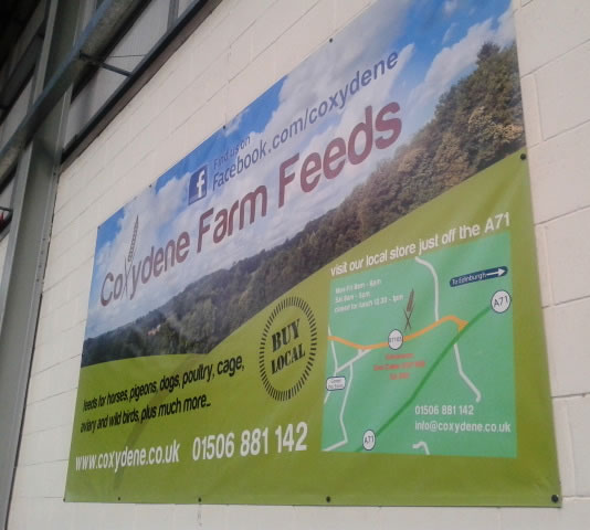 coxydene-banner-snec